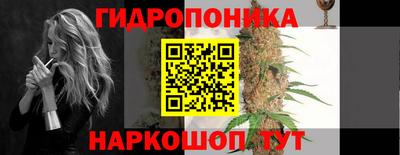 дмт Заволжье