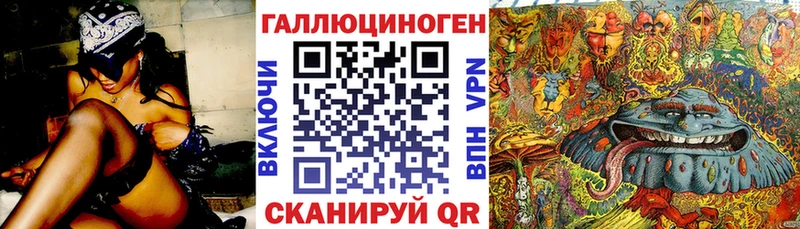 ссылка на мегу как зайти  Барабинск  Псилоцибиновые грибы Psilocybe 
